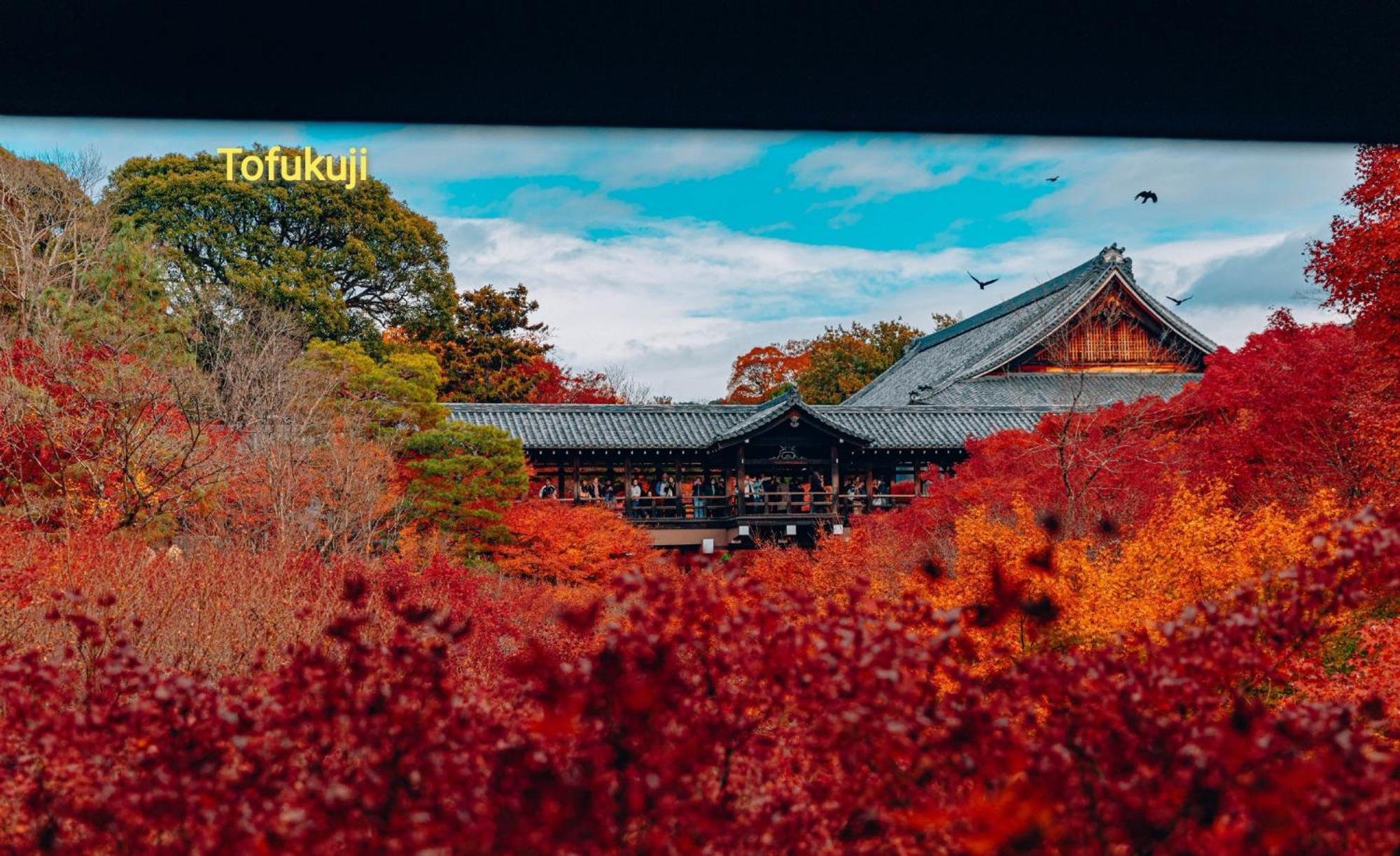 Walker House Kyoto 65 Square Meters Whole Villa Rent Екстер'єр фото